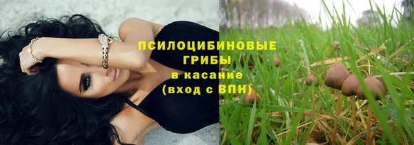 бошки Алексеевка
